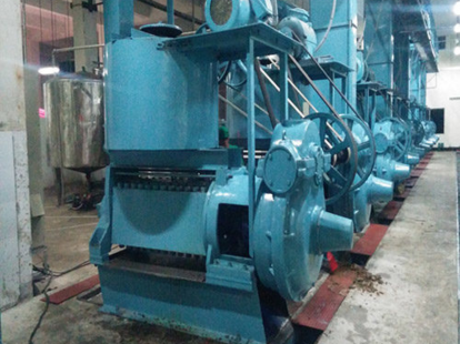 Oil Extraction Machine Manufacturer